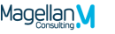Magellan consulting