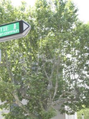 signalétique